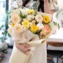 소유플레르 이미지