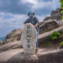 남산인2 이미지