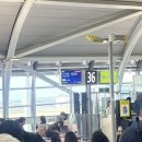 236 | 간사이공항에서 인천 출국 | 진에어 LJ236 | 간사이공항 36번 게이트 후기