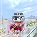 2089 | 부산 24시 꽃배달 가능한 해운대꽃집 메르엘 선물용 꽃다발 솔직후기