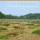 신길농장 이미지