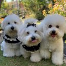 운동장가든 이미지