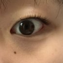 눈사랑안경위드렌즈 사송신도시점 | 렌즈 추천 :: 유혜원 렌즈 시티팝 블루그레이 | 눈사랑안경 위드렌즈 사송신도시점