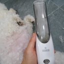 오늘도 뽀송하개 이미지