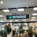 라이네쎄주 | 도심 속 공원 라이네쎄 보타닉가든(백석역카페 추천)