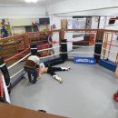 링 종합격투기 이미지