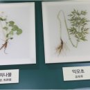 바로봄한의원 이미지