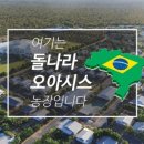 선두농장 이미지