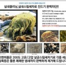 노원-수락-5359 이미지