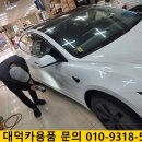 선진오토카랜드 | 울산테슬라검수 테슬라모델3신차패키지 테슬라썬팅 레인보우레젼드그레이스 테슬라전문점