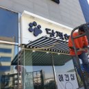 단정하개 이미지