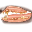 동행동물병원 이미지