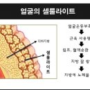 (주)코리아파워 이미지