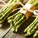 참조은농장 이미지