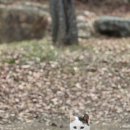 자연휴양림 입구 | 한천자연휴양림 캠핑장 솔캠 후기