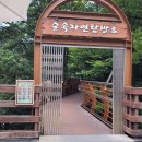 힐링 행정사사무소 이미지