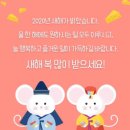 성원광택 세차장 이미지