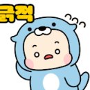 양지타이어 네이버블로그