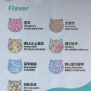 네코타마