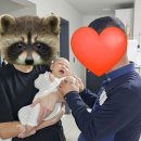 파티파파 백일상 대여 후기 | 약속을 잘 지키는 정확한 배송/집에서 하는 백일상