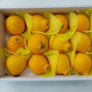 중대농장 이미지