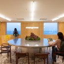 맹그로브 제주시티 이미지