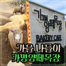 봉의목장 이미지