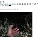 (주)동행 이미지