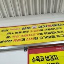 현완단겸 상무 김치통돼지