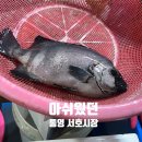 자연산횟집2 이미지