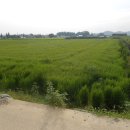 파주랜드공인중개사 이미지