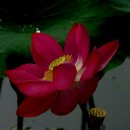 군포문화원 이미지