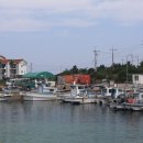 판포초등학교 이미지