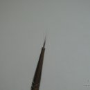 서화네일