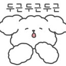 무지개수예점