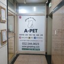 에이펫(A-PET) 이미지