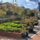 서울등원초등학교 이미지