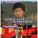 포동이 이미지