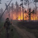 사하자원 이미지