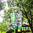 회산백련지 잔디광장 이미지