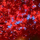 방화근린공원 이미지