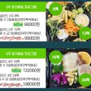 베지스토리 | 의정부 양주 샐러드 정기배송 베지스토리 솔직후기