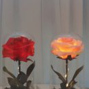 장미인테리어 이미지