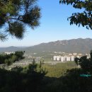 포일삼거리 이미지