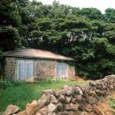 삼달1리 이미지