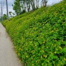 구산배수펌프장 이미지