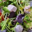 무수과일야채 이미지