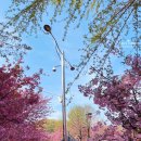 칠봉목장 이미지