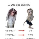 듀