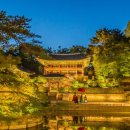 별빛마을체험관광 | 서울의 밤을 걷다, 경복궁 별빛 야행